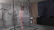 Sophia Rope Bondage And Bitter BDSM Play