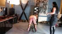 Punishment with 100 lashes