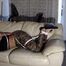 Calisa Bliss in Bondage, Part 2
