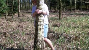In the Wood