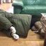 Marenka - Home Assault Part 5 of 6