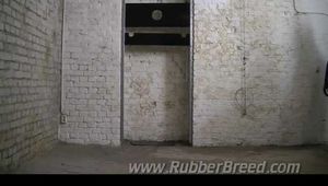 Bitch Jaska locked in the Pillory