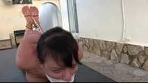 Extreme Ztp Tie Hogtie