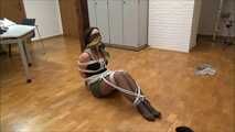 Vanessa - The secretary caught part 4 of 4
