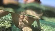 THE NON-MERMAID: Big-Ass Teen Lina Fucked in a Vacation Paradise (Underwater Sex)