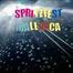 SPRAY PARTY MALLORCA