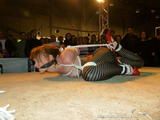 Only Yvette can be hogtied like this !