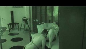 Licking duty