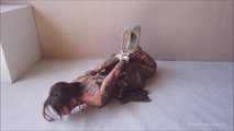 Golden Hogtie