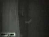 VOYEURHORNY 045