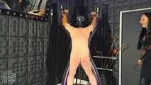 Whips for the Slavesass