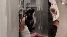 Disgust training with toilet soup