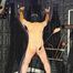 Whips for the Slavesass