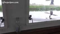 078031 Rachel Evans Pees In A Bottle On A Dutch Barge