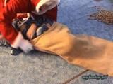 Santa Claus 2