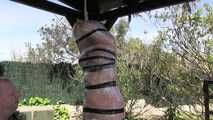Outdoor Mummification