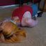 1149 Amber in Ballet Flats Escape