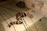 Marenka - Tied Inspirations 2