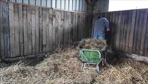 This is what happens to the groom when he disobeys