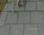 Barfuss unterwegs