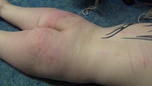 Jadirs Education - Hogtie and Fun