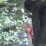 HIDDEN CAM AND FUCKING COUPLES