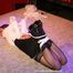 Chicken Wing Hogtie for Lillian Caine