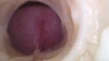 CUCKOLD MALAYIA HOTEL