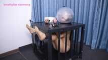 Xiaomeng Bubble Helmet Isolation and Restraint