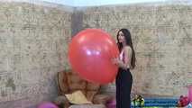 Ginevra 03
