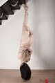 The Hanged Man... Dame