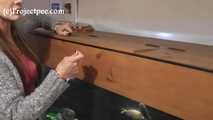 118023 Naughty Cynthia Pees In The Fish Tank 