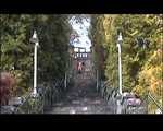 in the park