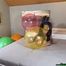 topless sit2pop big P18, U25 and C32 balloons