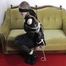 Sexy dressed girl bound with ropes 2/2
