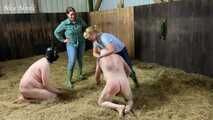 Slaughter day with Amely Pain which pig is today's turn