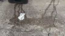 047014 Yassie Slips Up An Alley To Pee