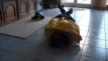 Request video Tanja - The burglar Part 2 of 5