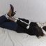 Tanja towel hogtie 2/2