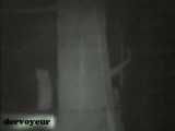 VOYEURHORNY 045
