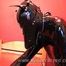 Show auf dem Latexbett