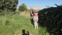 Hard Outdoor Training Session for Maya Homerton