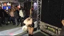Predicament Challenge