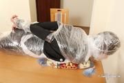 Iren - hogtaped Sekretär 02