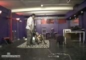 Rich Bitch Cleans