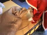 Santa Claus 1 (VCD-Version)