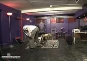 Rich Bitch Cleans