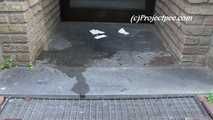 068009 Ling Leaves A Pee Puddle In The Doorway