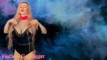 Paypig Transformation