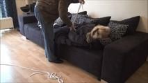 Video request Chantal - The Insurance Employees Part 3 of 5